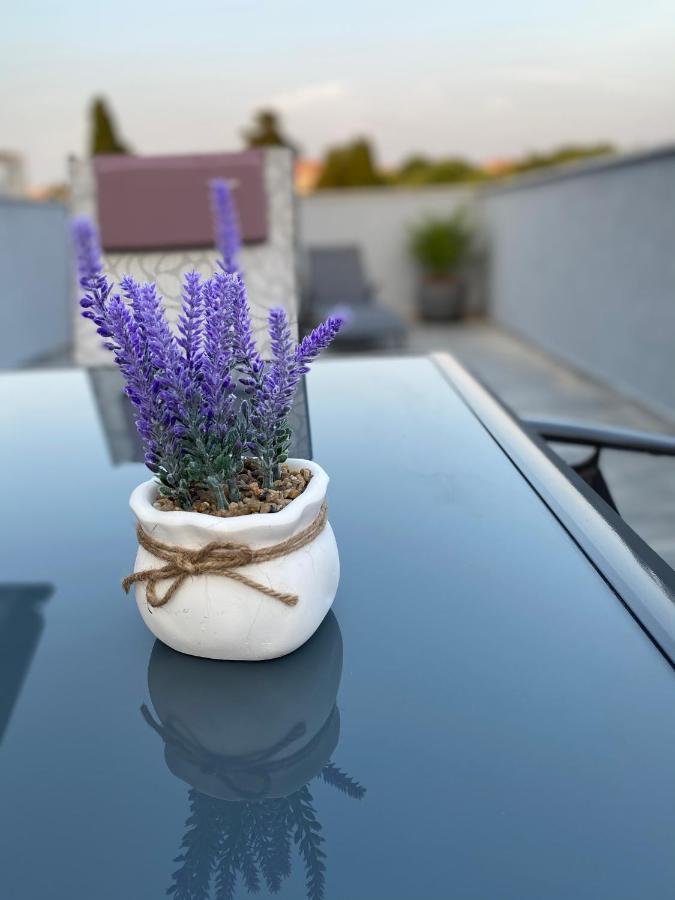 Villa Maleo メドゥリン エクステリア 写真
